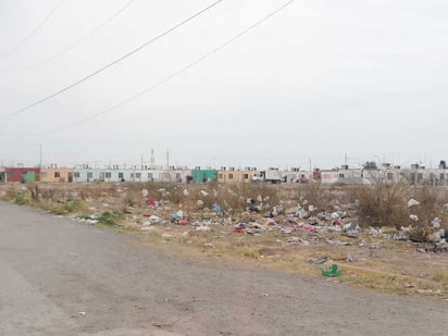 A partir de hoy la Dirección de Ecología empezará a notificar a los dueños de predios que son utilizados como tiradero de escombro y basura para que los limpien. (EL SIGLO DE TORREÓN) 