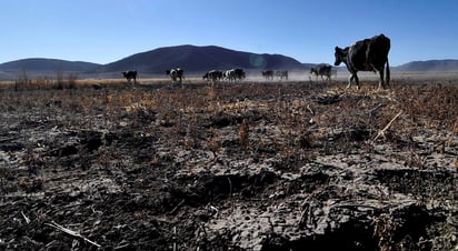 El impacto de la migración climática dependerá de las condiciones económicas de cada región y de país. (ARCHIVO) 