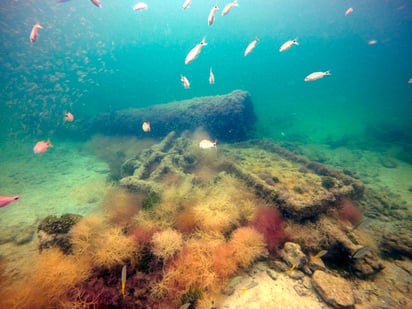 Arqueólogos de México informaron el martes que han identificado los restos de un barco que llevaba a indígenas mayas para ser utilizados como esclavos en la década de 1850, en lo que sería el primer hallazgo de una embarcación de este tipo. (TWITTER)