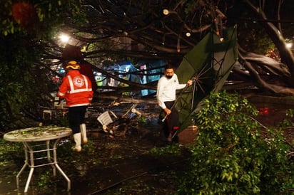 Al menos cinco municipios de la región de la Cuenca del Papaloapan, resultaron afectados por las lluvias. (ARCHIVO) 