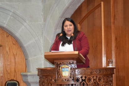 La proponente, Beatriz García Villegas, manifestó que la iniciativa fue presentada en distintas ocasiones.