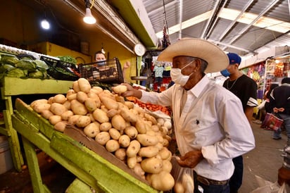 Por el contrario, los genéricos cuya baja de precios y tarifas contribuyeron más a contener la inflación, fueron: jitomate, con una baja quincenal de 7.94%; servicios profesionales, -13.75%; huevo, -2.28%; aguacate, -5.04%; naranja, -6.58%; gas doméstico LP, -0.58%; plátanos, -3.34%; cerveza, -0.50%; crema para piel, -1.92%; y pañales, -0.95%.
(ARCHIVO)