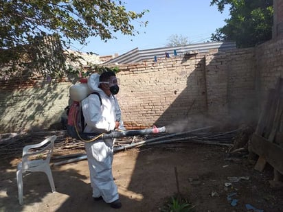 El 93 por ciento de los casos de dengue en el estado corresponden a la región Lagunera. (EL SIGLO DE TORREÓN)