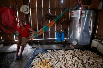 Guatemala perdió en 2018 la posibilidad de sumar un 16 % más a su Producto Interno Bruto (PIB) debido a la desnutrición y la obesidad, según un informe divulgado este miércoles por el Programa Mundial de Alimentos (PMA). (CORTESÍA)