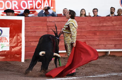 Fue durante una tienta, que el joven espada torreonense fue prendido de fea manera por el burel en turno, que se quedó a media suerte y alcanzó a coger a “Arturillo” con sus cuernos, para luego hacerlo caer sobre la arena, generando un fuerte impacto. (ARCHIVO)