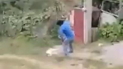 El sujeto fue captado en video mientras mataba al animal (CAPTURA) 