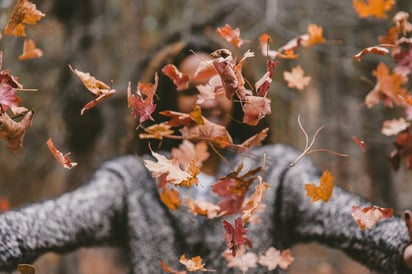 La temporada otoñal se caracteriza por llenar el ambiente de sus colores cálidos rojizos. Sin embargo, para disfrutar al máximo de ellos, lo mejor es visitar sitios donde se manifiesta de una forma más intensa.  (ESPECIAL)