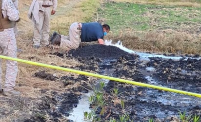 Vecinos de ese lugar reportaron un fuerte olor a combustible por lo cual fueron alertados los cuerpos de seguridad que se trasladaron al lugar, donde se detectó un chorro de gasolina con una altura de alrededor de seis metros.
(ESPECIAL)