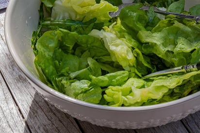 La lechuga es uno de los alimentos que puede llegar a echar se a perder con mayor rapidez ya que al igual que otros como la zanahoria y el tomate, se consumen crudas y tienen un tiempo de vida determinado antes que comiencen a extrañar la tierra. (ESPECIAL)