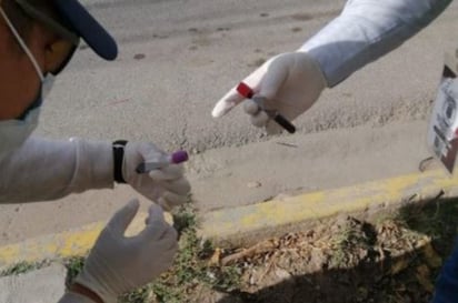 Los residuos fueron recolectados por la Dirección de Ecología y Medio Ambiente del Ayuntamiento.