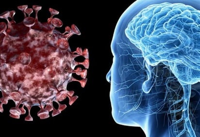 El SARS-CoV-2 tiene efectos también en el sistema nervioso central, lo que genera síntomas como la perdida de olfato y gusto (ESPECIAL)  