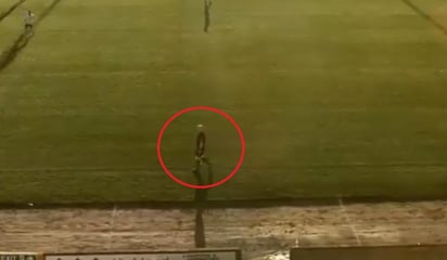 La compañía desarrolladora de la IA dijo que el problema fue causado por similitudes visuales entre la cabeza del juez de línea y el balón de fútbol (ESPECIAL) 