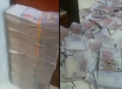 Plagas y humedad destrozaron los billetes. (INTERNET)