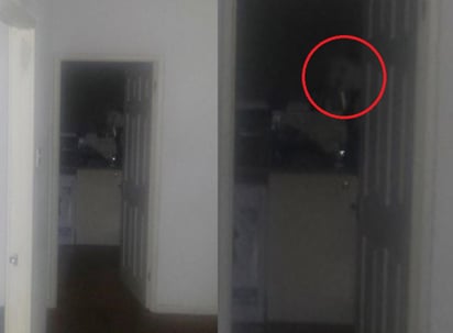 La persona que comparte la imagen dice que estaba solo en casa. (INTERNET)