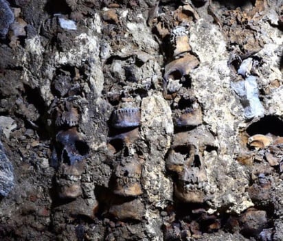 Investigadores del INAH descubrieron el extremo este y la fachada externa del Huei Tzompantli ('hilera o muro de cráneos'), y hasta el momento, en el lado este se han contabilizado 119 cráneos, que se suman a los 484 identificados anteriormente. (Especial) 
