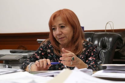 Presentaron la denuncia contra Piedra Ibarra y quien resulte responsable por el delito de abuso de autoridad. (ARCHIVO)