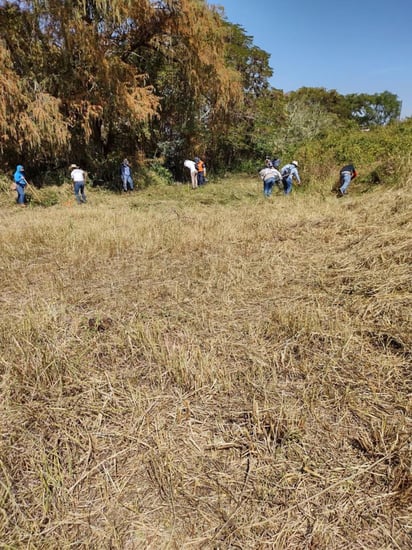 Siete colectivos integrados por familiares de personas desaparecidas informaron que en los últimos siete meses se localizaron 103 fosas clandestinas y 183 restos humanos en los municipios de Salvatierra y Acámbaro. (ARCHIVO)