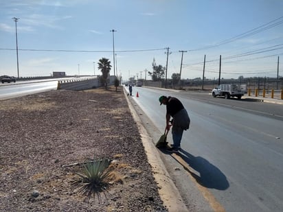 Se llevan a cabo trabajos de limpieza y mantenimiento en el camellón central del bulevar Ejército Mexicano en Gómez Palacio.