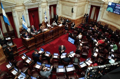 El Senado de Argentina comenzó este martes a debatir un proyecto con el que el Gobierno busca legalizar el aborto hasta la semana 14 de embarazo, que ya fue aprobado por los diputados el 11 de diciembre pasado y que, si obtiene también el visto bueno de los senadores, será ley en las próximas horas. (ARCHIVO) 
