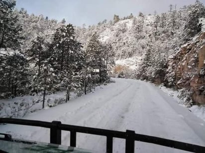 Debido a las condiciones climatológicas y la caída de nieve en varios municipios de la entidad se determinó cerrar la supercarretera Durango-Mazatlán la noche de este miércoles, a partir del tramo Otinapa, abarcando los tramos a Llano Grande, Coscomate, El Salto y Las Adjuntas. (TWITTER)