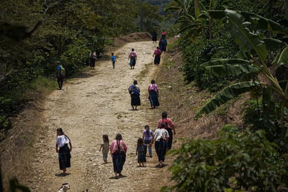 La sección 7 de la Coordinadora Nacional de Trabajadores de la Educación (CNTE) consideró que no hay condiciones sanitarias en las escuelas de Chiapas para regresar a clases aunque la entidad se encuentre en semáforo verde por Coronavirus 2019. Su líder, Pedro Gómez Bahamaca, cuestionó: '¿quién le mintió al presidente?'. (ARCHIVO)