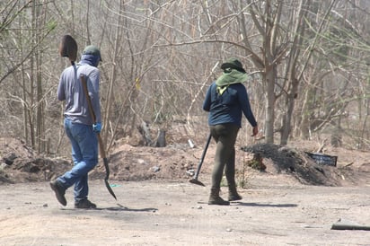 Tan sólo el 15 por ciento de los cuerpos hallados en fosas clandestinas de Veracruz han sido identificados, denunció la fundadora del Colectivo Solecito Veracruz, Lucía de Los Ángeles Díaz Genao. (ARCHIVO)