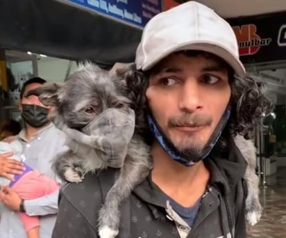 Hace unos días a través de TikTok se compartió el adorable video en el que un joven pide dinero para 'Marihuana', su perrita. (Especial) 