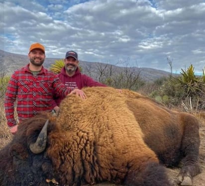 Apenas hace unos días la Secretaría de Medio Ambiente y Recursos Naturales (Semarnat) celebraba la llegada de la segunda manada de bisontes a la región luego de más de cien años de ausencia. (Especial) 