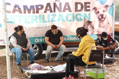 Ante la buena respuesta de los dueños de mascotas, se prepara otra campaña de esterilización canina y felina en el mes de febrero. (EL SIGLO DE TORREÓN) 