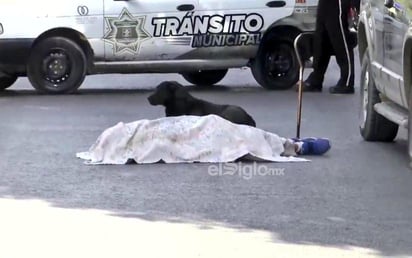 Los hechos se registraron la mañana de este sábado alrededor de las 9:30 horas en el cruce de la avenida Ignacio Allende y calle Ignacio de la Llave del sector Centro de Gómez Palacio.
(EL SIGLO DE TORREÓN)