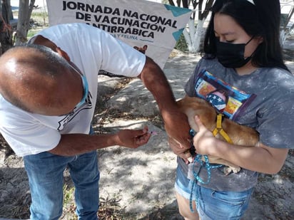 Buena respuesta se registró en la jornada de vacunación antirrábica en el ejido San Lorenzo de San Pedro de las Colonias. (EL SIGLO DE TORREÓN)