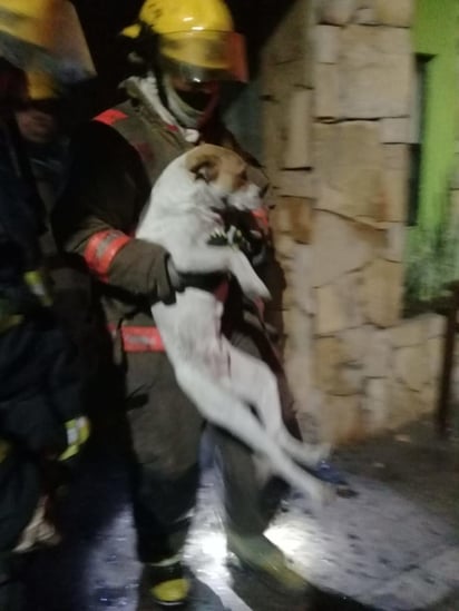 Los hechos ocurrieron la noche del sábado según el reporte de la Central. El siniestro fue sofocado cerca de la media noche.(EL SIGLO COAHUILA)