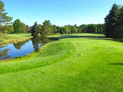 Otro golfista intentó rescatarlo, pero no fue posible. (INTERNET)