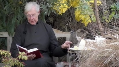 Una escena divertida que el sacerdote se toma también con humor. (INTERNET)