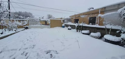 La gélida precipitación del jueves por la mañana, propició que la velada internacional tuviera qué moverse de fecha para marzo. (ESPECIAL)