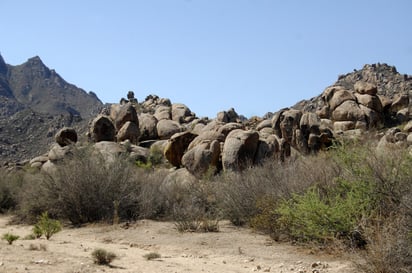 La zona de la Sierra del Sarnoso es rica en restos fósiles y numerosos petrograbados de tipo rupestre tallados en piedras calizas.