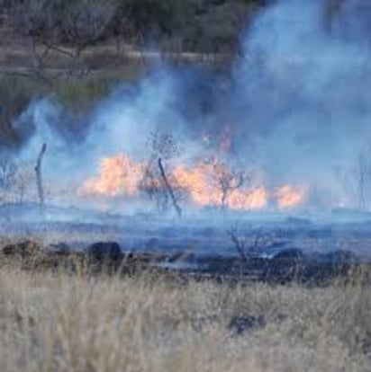 El organismo público descentralizado desglosa que un total de 179 hectáreas afectadas son de superficie herbácea. (EL SIGLO DE TORREÓN) 