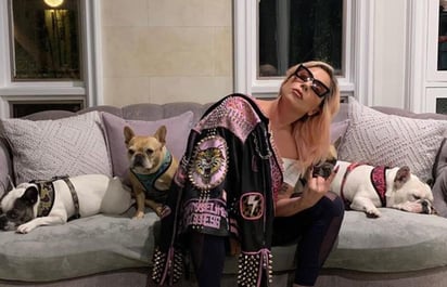 Ryan Fischer, el cuidador de los perros de Lady Gaga, fue atacado por ladrones en West Hollywood mientras paseaba a Koji, Asia y Gustave, los tres Bulldog francés de la cantante, y se robaron a dos de ellos. (ESPECIAL) 