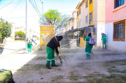 Se organizaron cuadrillas de vecinos, voluntarios y de la empresa PASA para llevar a cabo estas acciones de limpieza. (CORTESÍA)