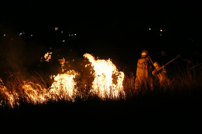 Un total de 341 hectáreas afectadas por el fuego en la entidad son de superficie herbácea. (EL SIGLO DE TORREÓN) 