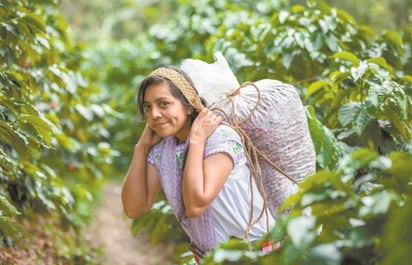 El recorte tendrá un mayor impacto en las mujeres indígenas, en las que viven en zonas de alta marginación, en desempleadas y las que contaban con un negocio para subsistir, entre otras. (ESPECIAL)