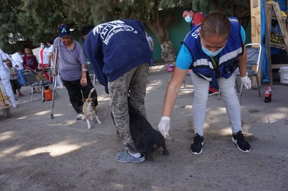 Se intensifican brigadas de salud en colonias y ejidos. (EL SIGLO DE TORREÓN) 