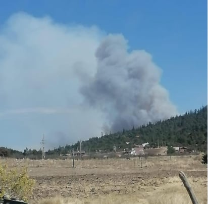 Al lugar acudieron Bomberos, elementos de Medio Ambiente y de Comisión Nacional Forestal (Conafor) para combatir el fuego.
