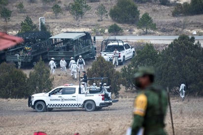 Ya ha arrasado con siete mil hectáreas de bosque afectadas en los estados de Coahuila y Nuevo León. (ARCHIVO)