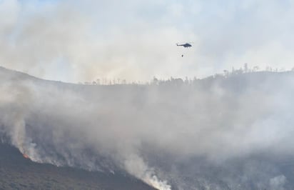 Se contaba con 519 elementos entre brigadistas y personal de logística en el área de combate de incendios, además de tres helicópteros.