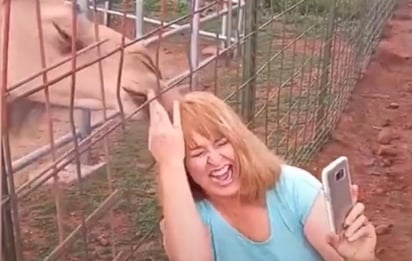 El animal sorprendió a la mujer mientras ella intentaba tomarse una foto con él (CAPTURA)  