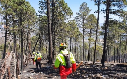 Protección Civil de Nuevo León afirmó que al disminuir la situación de riesgo que prevalece con el incendio que sigue activo en el municipio de Santiago, hoy se abrieron los filtros para que pudieran regresar a sus viviendas los habitantes de 16 comunidades y solamente los que fueron evacuados de tres poblaciones todavía no podrán volver a sus hogares. (ESPECIAL) 
