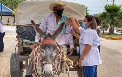 El hombre sorprendió al personal en el centro de vacunación al llegar en su carrito junto a su burrito (ESPECIAL)  