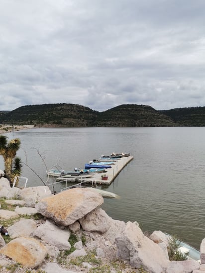 La ausencia de lluvias en los vasos hídricos de la entidad genera la baja en la capacidad de las presas. (EL SIGLO DE TORREÓN) 