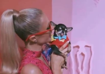 La socialité Paris Hilton es una especialista en consentir a sus perros de raza chihuahua, pues además de mandarles construir una mansión de gran tamaño para que se resguarden con total comodidad, esta vez se fue de compras a la tienda de lujo Privé Porter, que distribuye bolsos Hermès, y adquirió un modelo especialmente para mascotas, cuyo costo es de 5 mil 500 dólares, es decir, 113 mil 300 pesos, aproximadamente. (Especial)